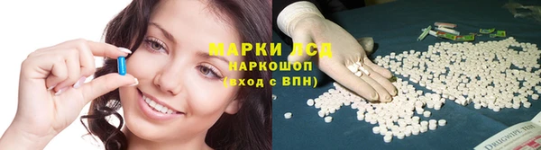 ПСИЛОЦИБИНОВЫЕ ГРИБЫ Арсеньев