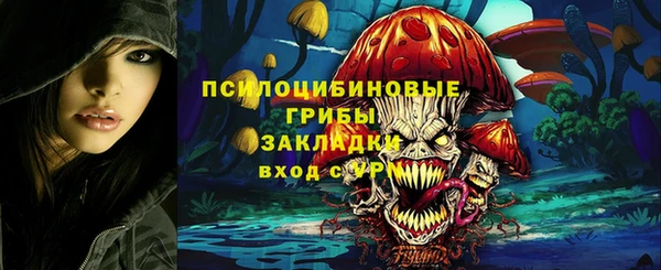 ПСИЛОЦИБИНОВЫЕ ГРИБЫ Арсеньев