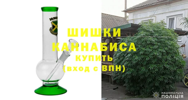 ПСИЛОЦИБИНОВЫЕ ГРИБЫ Арсеньев
