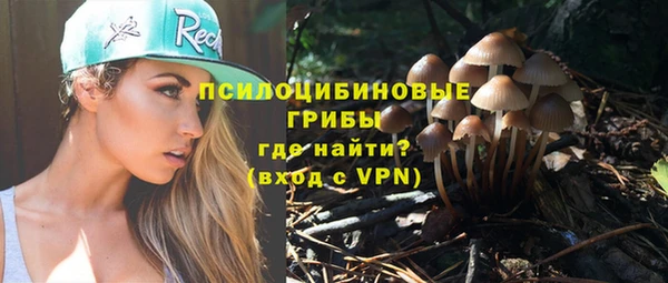 гашик Армянск