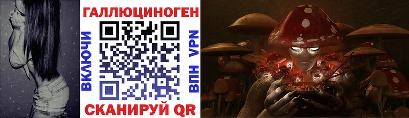 маркетплейс как зайти  Валдай  Псилоцибиновые грибы мухоморы 